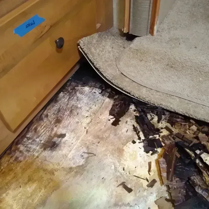 Wood Floor Water Damage in North Little Rock, AR